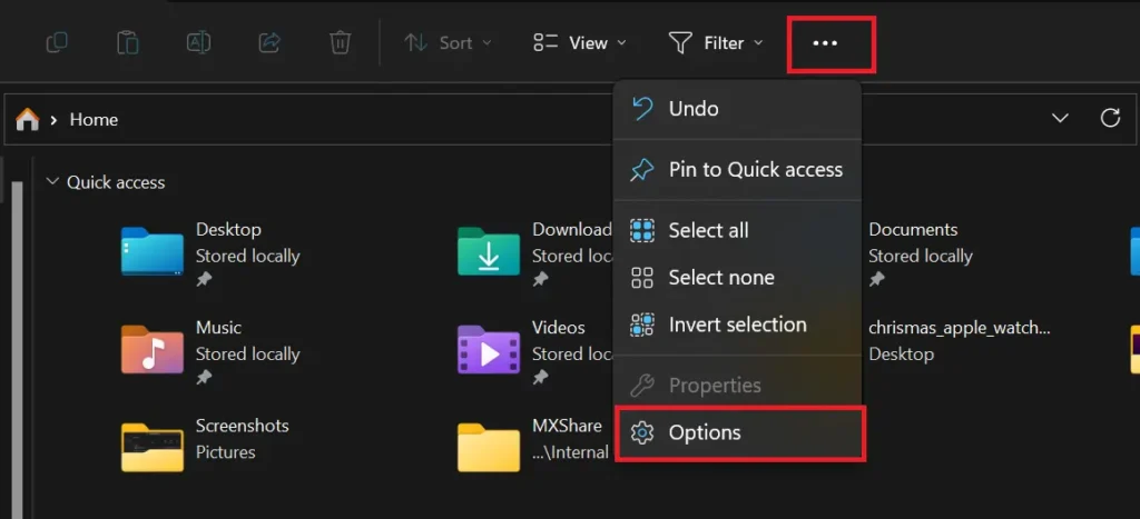 file explorer option button