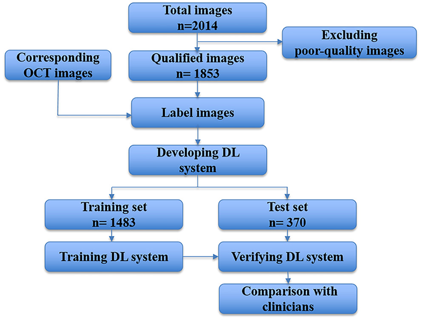 15 Biggest Artificial Intelligence Challenges to Tackle in 2025 4 Flow chart showing the AI system development and evaluation based on fundus photographs - Tech Guidely